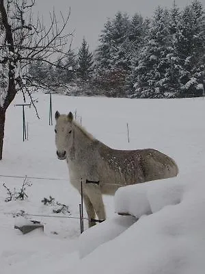 De Charme Auvergne Cab'ane Semesterbostad