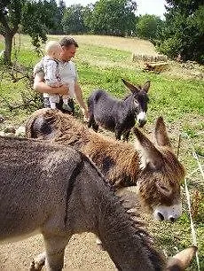 De Charme Auvergne Cab'ane *