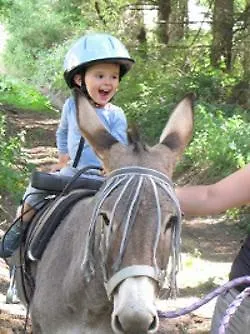 De Charme Auvergne Cab'ane