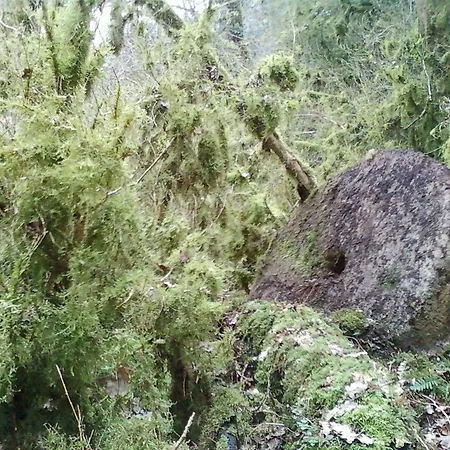 Сasa de vacaciones De Charme Auvergne Cab'ane Brousse