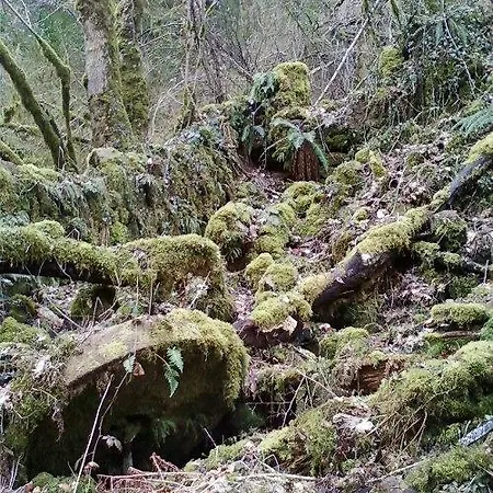 Semesterbostad De Charme Auvergne Cab'ane