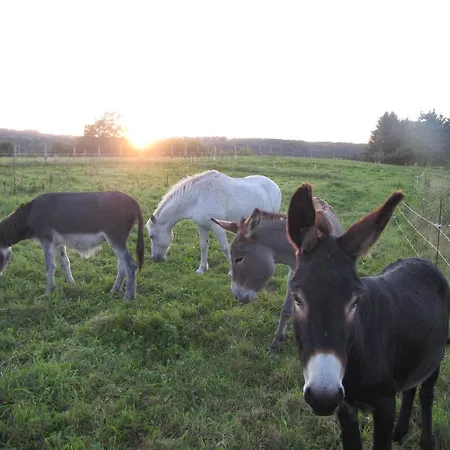 De Charme Auvergne Cab'ane *